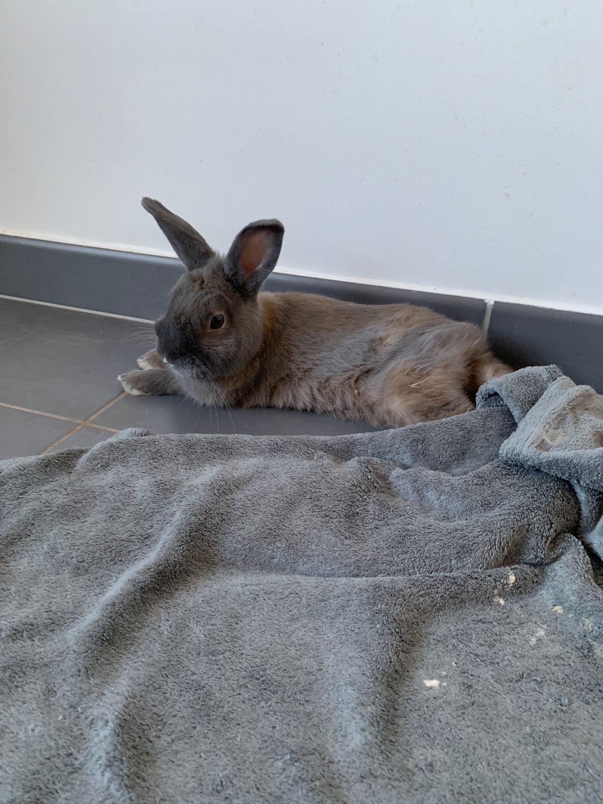 Photo n° 1 de l'avis de Catherine.a fait le 23/03/2019 à 12:27