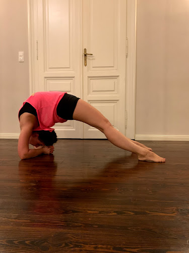 Opinii despre POLE STUDIO Liza Szabo în Budapest - Edzőterem