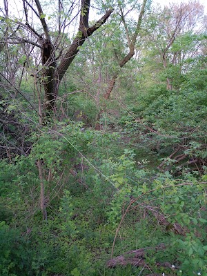 Coopersmith Park - photo 10