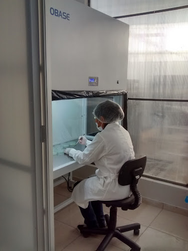 NOVAGRI S.A.C. - Tienda