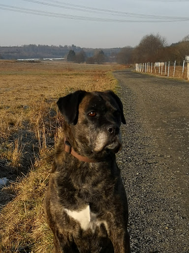 Tierarztpraxis von Lohr unter Driedorf, 