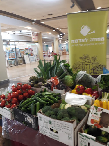 קסטרא - קניון