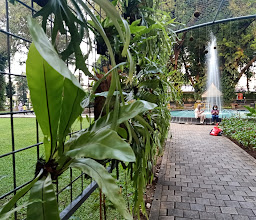 Taman Suropati photo