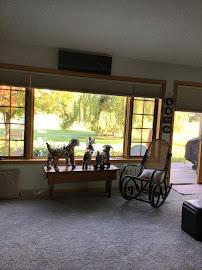 Budget Blinds of West Green Bay and Shawano - Photo 8 - Car repair in Green Bay, WI, Green Bay