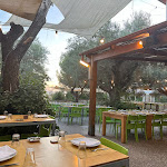 Photo n°3 de l'avis de Arielle. fait le 16/08/2023 à 18:55 sur le  Ristorante Tabano à Iesi