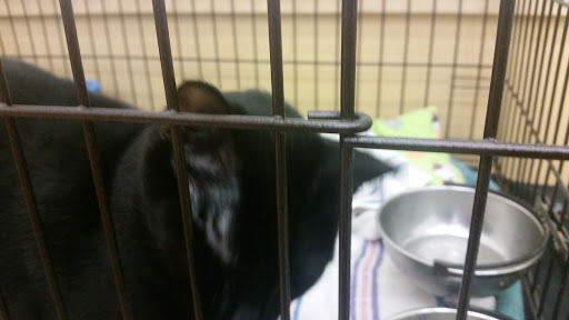 Pet Supply Store «Pet Supplies Plus», reviews and photos, 311 Sagamore Pkwy N, Lafayette, IN 47904, USA