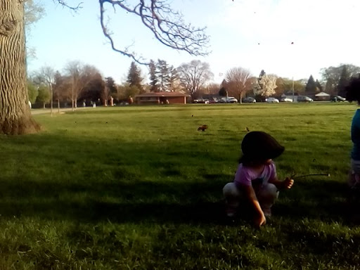 Park «Wing Park Golf Course», reviews and photos, 1010 Wing St, Elgin, IL 60123, USA