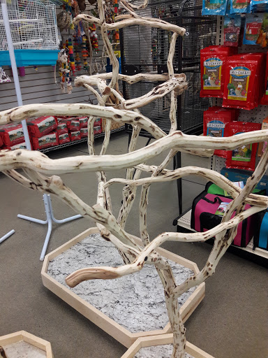 Pet Store «Parrots Of The World Aquarium and Pet Center», reviews and photos, 316 Sunrise Hwy #1, Rockville Centre, NY 11570, USA