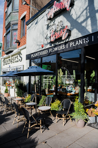 Florist «Englewood Florist, Inc.», reviews and photos, 47 E Palisade Ave, Englewood, NJ 07631, USA