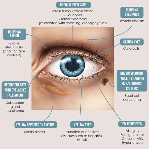 Optometrist «Eyeglass Emporium», reviews and photos, 552 Arthur Godfrey Rd, Miami Beach, FL 33140, USA