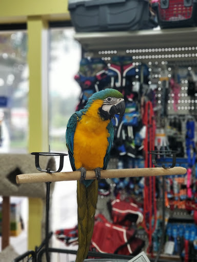 Pet Supply Store «Our Pet World», reviews and photos, 380 Semoran Commerce Pl, Apopka, FL 32703, USA