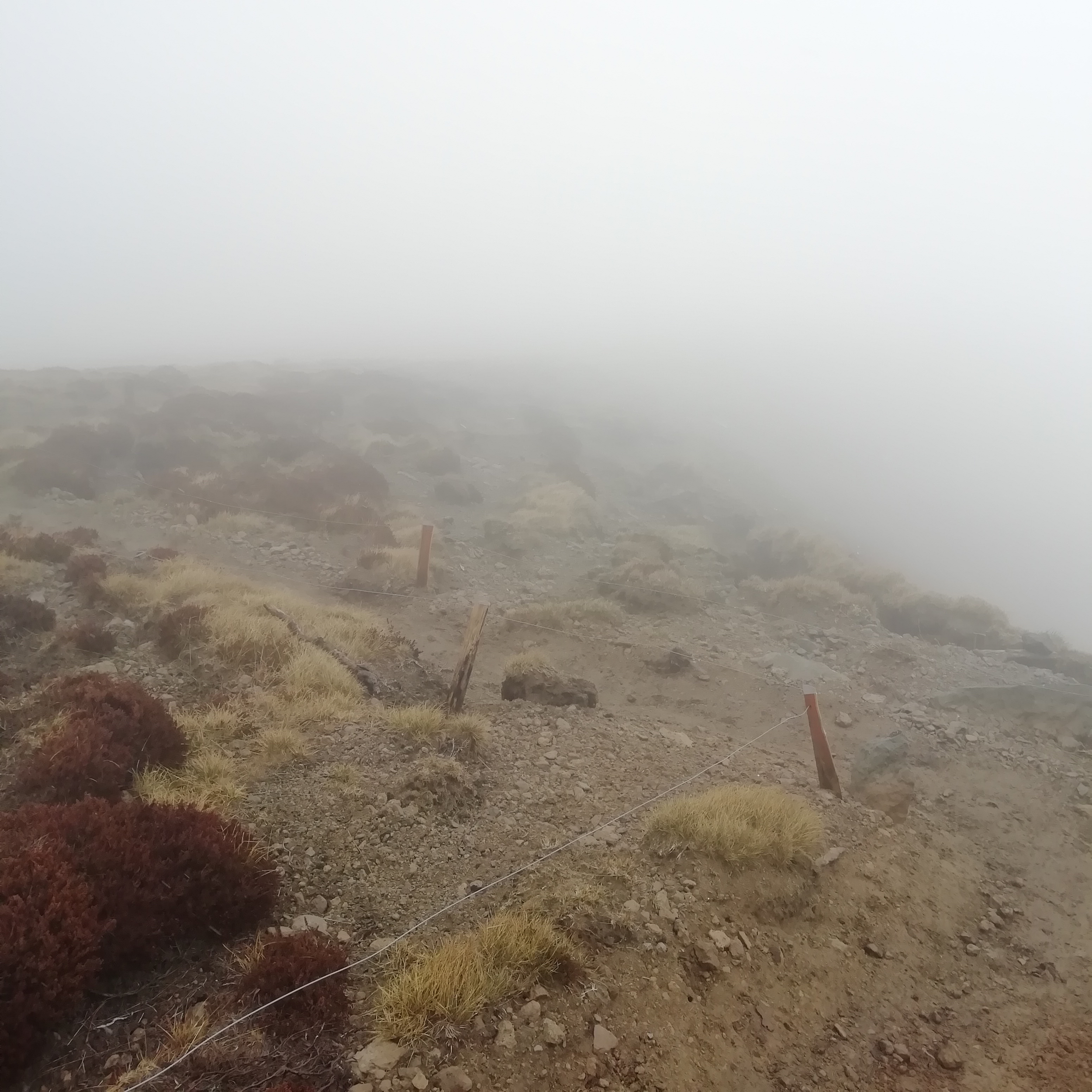 Photo n° 6 de l'avis de saux.o fait le 19/05/2019 à 14:55