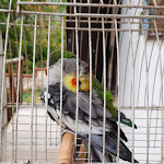 Photo n°5 de l'avis de Noemi.. fait le 02/10/2021 à 20:17 sur le  Ristorante Il Cerqueto à Marzano di Nola