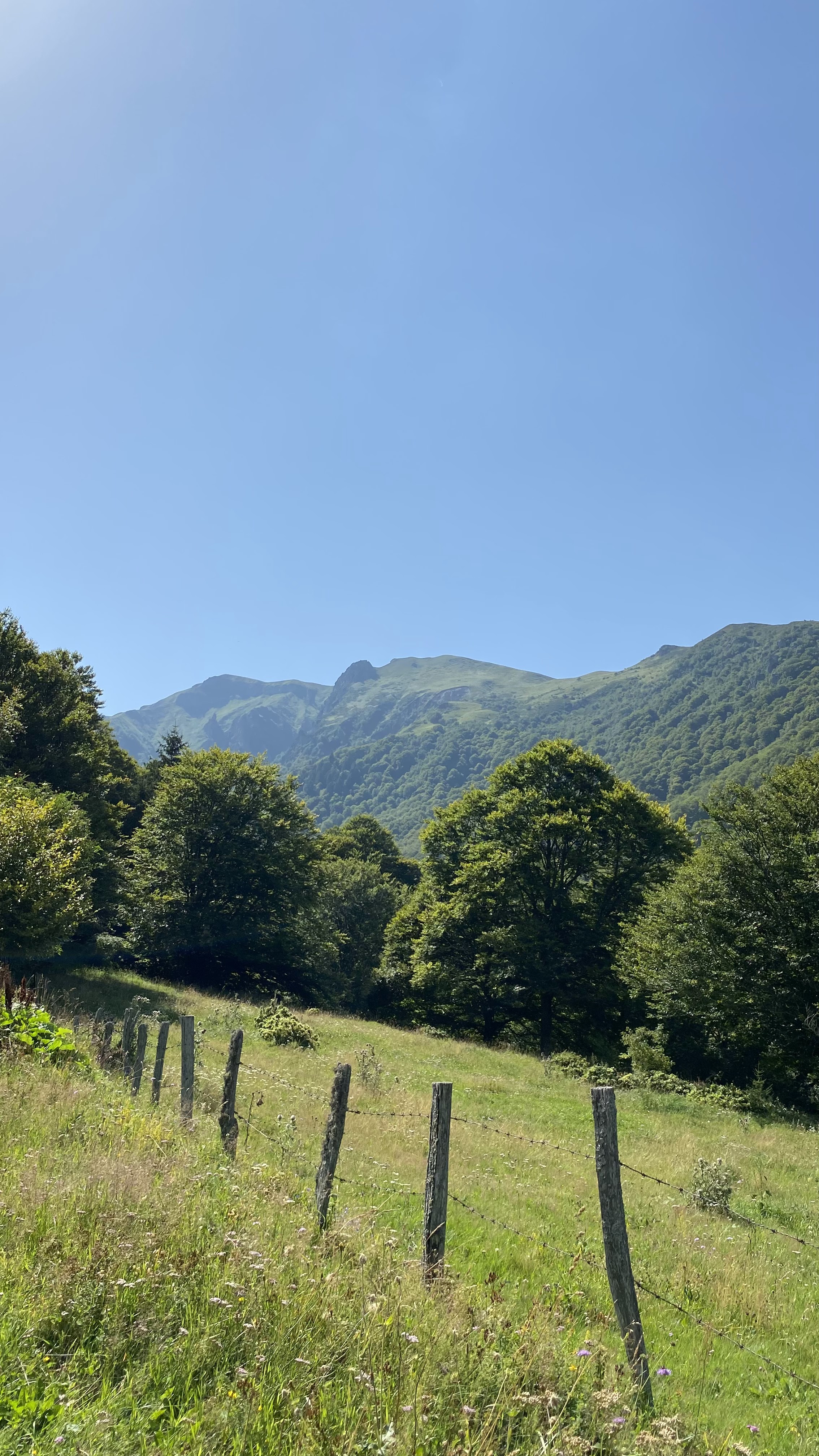 Photo n° 17 de l'avis de Michel.o fait le 17/08/2021 à 16:52