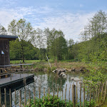 Photo n°1 de l'avis de Carmen.c fait le 18/05/2023 à 11:01 sur le  Landgasthof Hessenmühle à Großenlüder