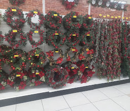 Fantasias Miguel photo