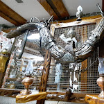 Photo n°9 de l'avis de Sónia.e fait le 19/11/2023 à 18:42 sur le  Restaurante Tasquinha O Medronho à Almodôvar