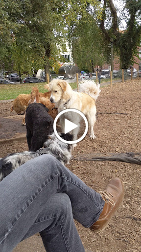 Park «Wallace City Park», reviews and photos, 1600 NW 25th Ave, Portland, OR 97210, USA