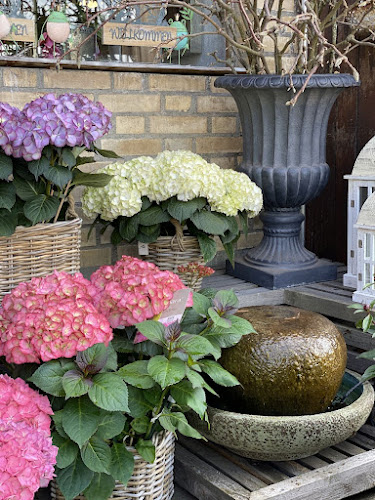 Blumen Oase GmbH - Zürich