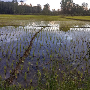 Hp Petrol Pump - Malik Filling Station photo