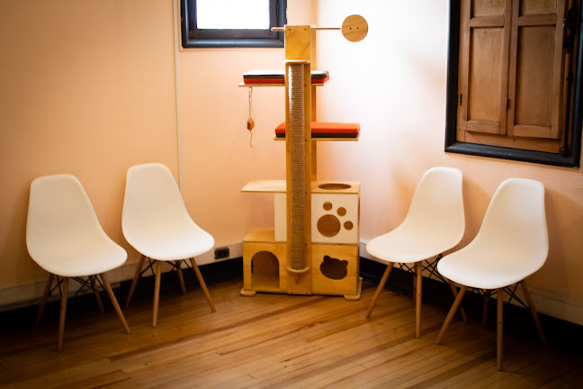 Comentarii opinii despre HOMM Servicios Veterinarios