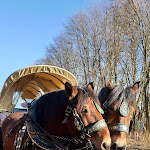 Photo n°2 de l'avis de Helga.a fait le 06/01/2020 à 11:50 sur le  Hotel am Tierpark Gotha à Gotha