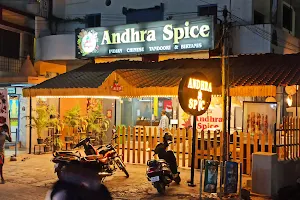 Andhra Spice image