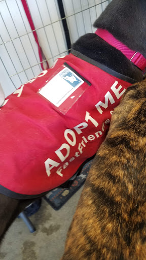 Pet Supply Store «Centinela Feed & Pet Supplies», reviews and photos, 22840 Hawthorne Blvd, Torrance, CA 90505, USA