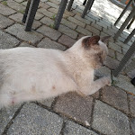 Photo n°12 de l'avis de Fernando.u fait le 13/08/2021 à 13:26 sur le  Agriturismo La Gioiosa à Cleto