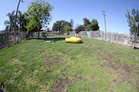 CARL's Pet Care Center - Photo 9 - Car repair in Santa Paula, CA, Oxnard