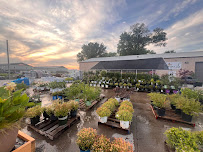 Monarch Nursery and Garden Center - Photo 5 - Car repair in Riverside, IA, Iowa City