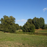 Photo n°4 de l'avis de TTtt. fait le 11/08/2022 à 14:45 sur le  Gaststätte Waldspielplatz à Hettenshausen