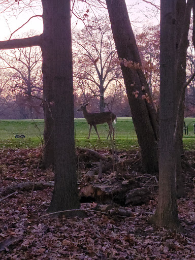 Public Golf Course «Mill Creek Golf Course», reviews and photos, W Golf Dr, Boardman, OH 44512, USA