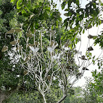 Photo n°1 de l'avis de Sandra.h fait le 08/08/2020 à 16:15 sur le  BE BIO Hotel be active à Tönning