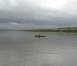 Taman MANGROVE Bedul photo