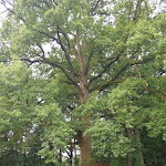 Photo n°2 de l'avis de Dit.i fait le 23/07/2023 à 19:28 sur le  Kregers Hof à Visselhövede