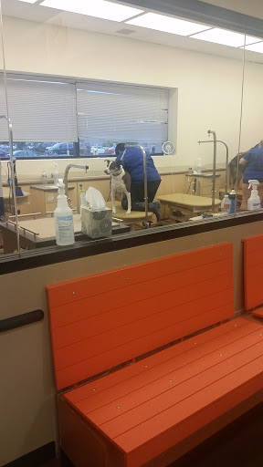 Pet Supply Store «PetSmart», reviews and photos, 10309 156th St E, Puyallup, WA 98373, USA