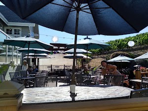 Big Dog Vineyards - photo 2