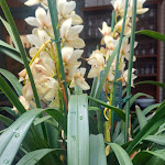 Photo n°4 de l'avis de Anna.a fait le 12/03/2023 à 07:33 sur le  Antica Trattoria Pallotta à Rome