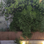 Photo n°8 de l'avis de giuseppe.r fait le 26/07/2021 à 09:00 sur le  Hotel Novecento à Scicli