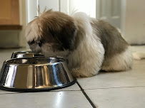 Bark's Club - Photo 7 - Car repair in Doral, FL, Miami