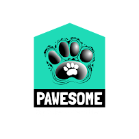 Pawsome Dog Walkers & Pet Sitters of Syracuse - Photo 2 - Car repair in , Syracuse