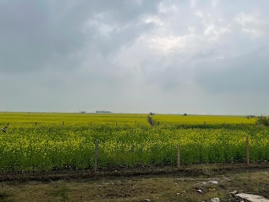 कंजर बस्ती प्रेमनगर