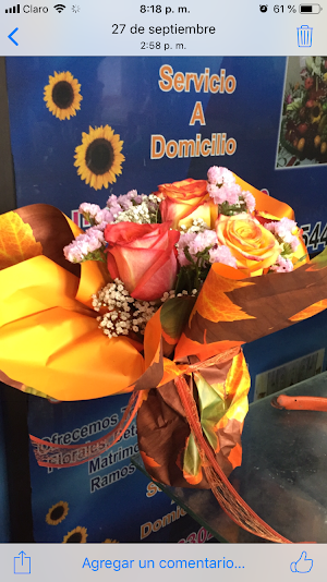 Floristería Monte Azul - photo 1