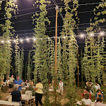 Photo n°7 de l'avis de Umberto.. fait le 31/08/2023 à 13:33 sur le  Birra Salento à Leverano