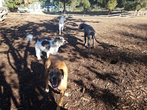 City of Santa Monica - Airport Park - photo 63