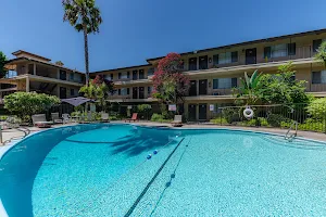 Lexington Courtyard Apartments image