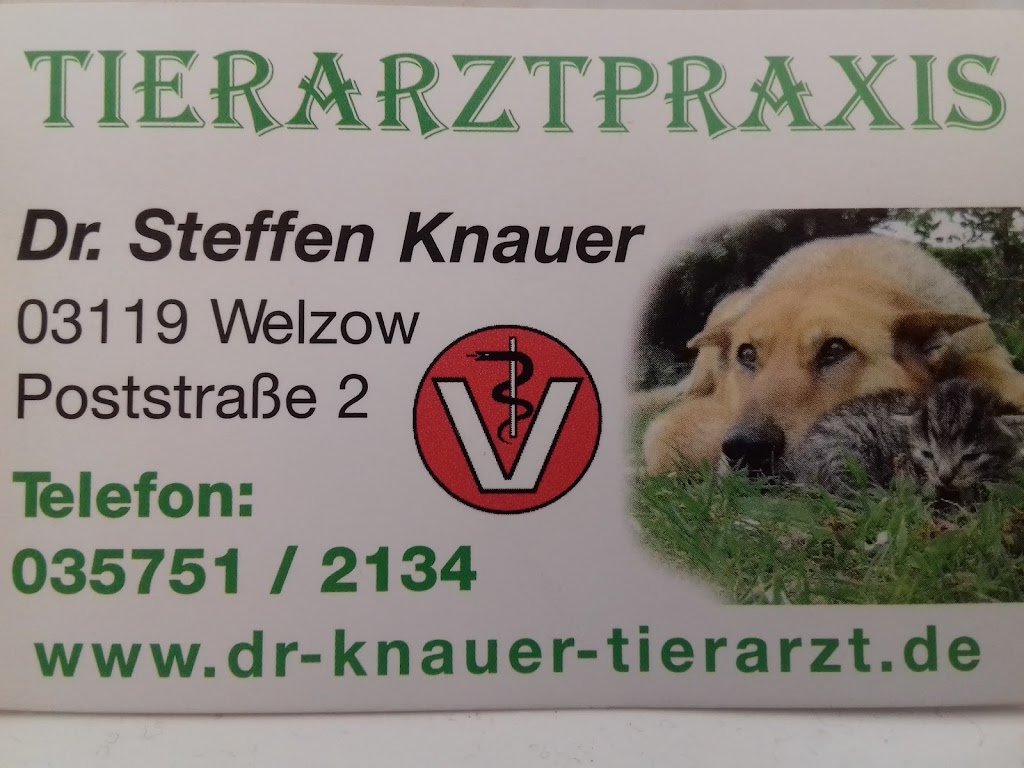 Dr.med. vet. Steffen Knauer