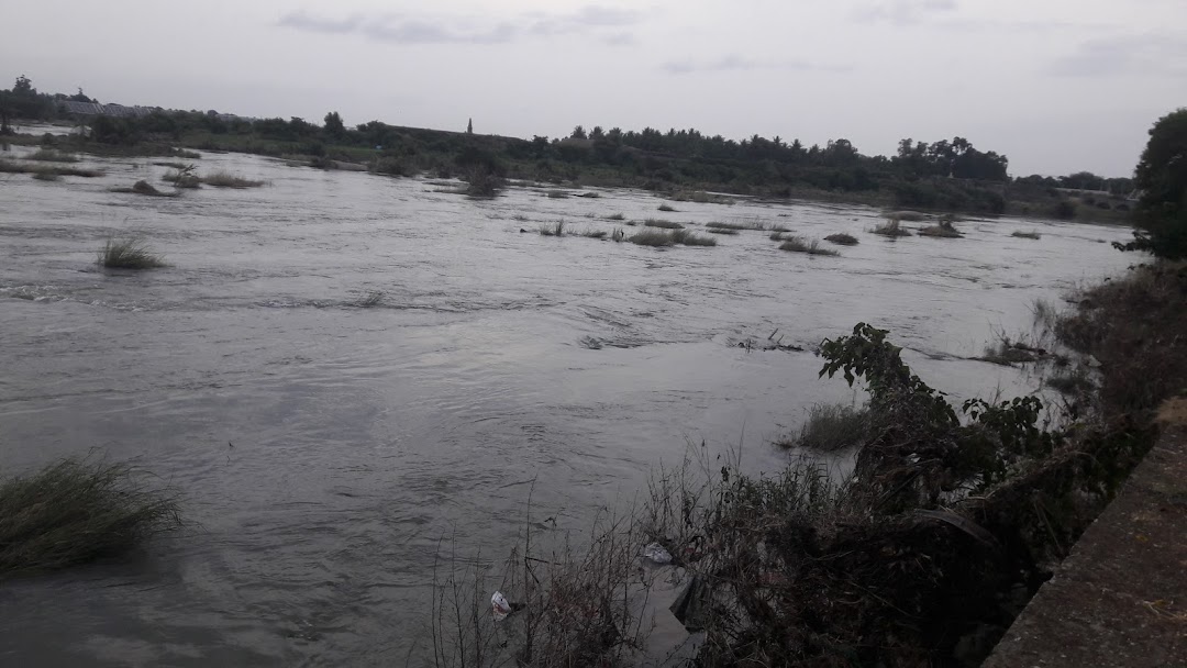 ಬೇಬಿ ಮಠ