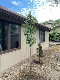 Haney Landscaping LLC - Photo 8 - Car repair in Berea, OH, Cleveland